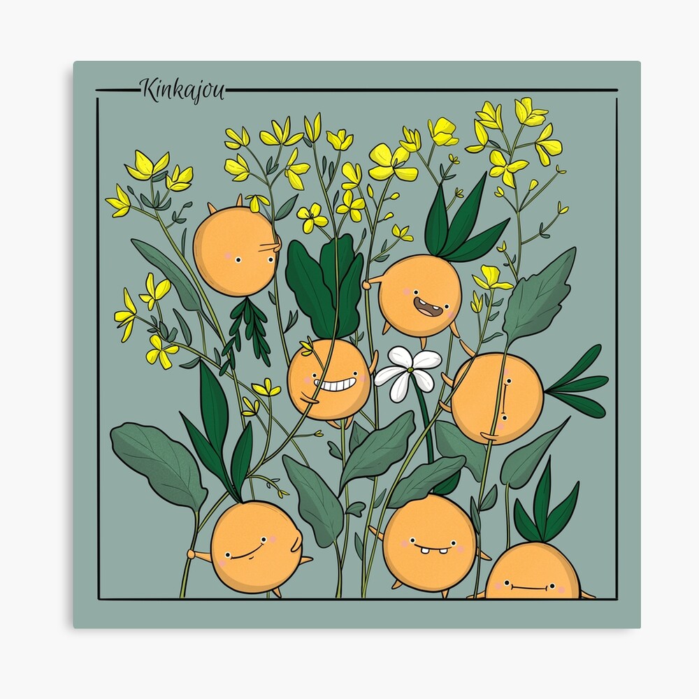 Graines & colza (20x20)